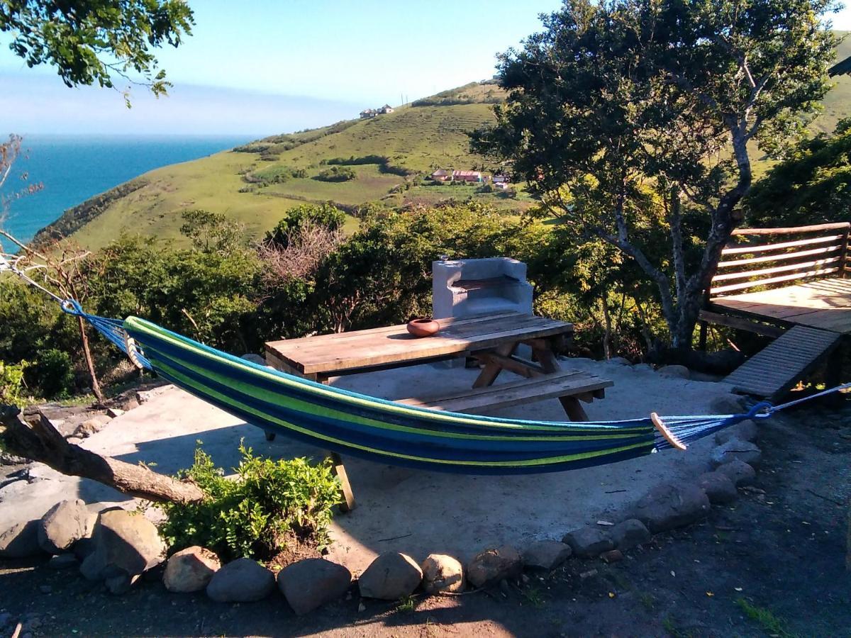 Wildview Self Catering Cottages Coffee Bay, Breakfast & Wi-Fi Inc Extérieur photo