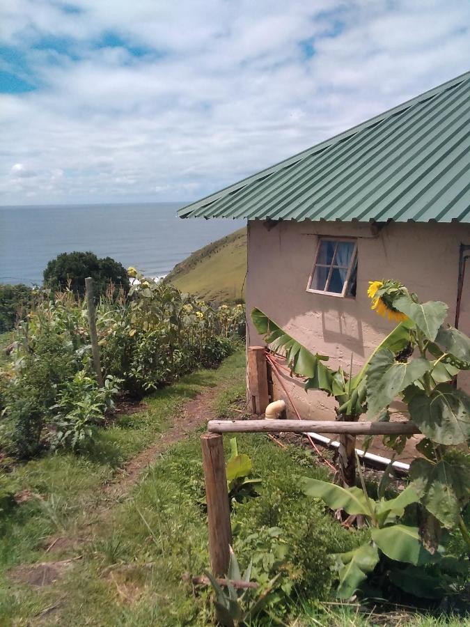 Wildview Self Catering Cottages Coffee Bay, Breakfast & Wi-Fi Inc Extérieur photo